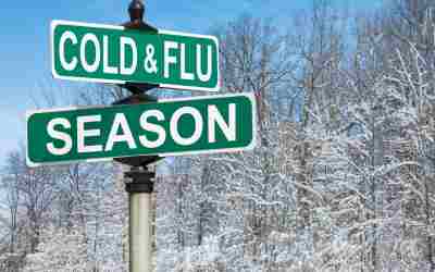 Boosting Your Immunity: Key Ingredients for a Healthier You