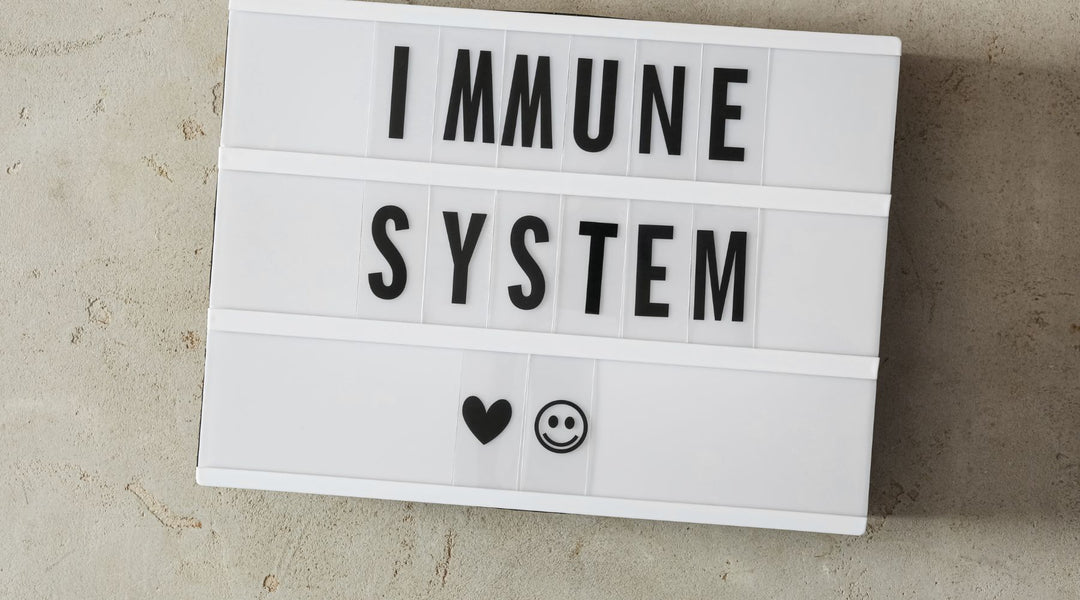 Keep your Immune System on High Defence this Fall