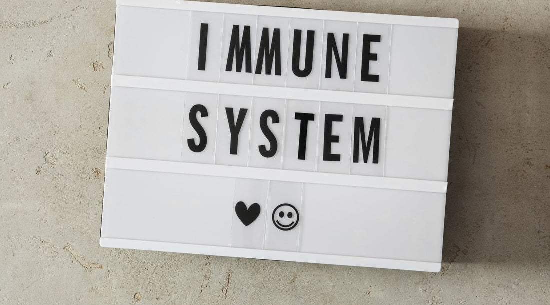 Keep your Immune System on High Defence this Fall - Younited Wellness