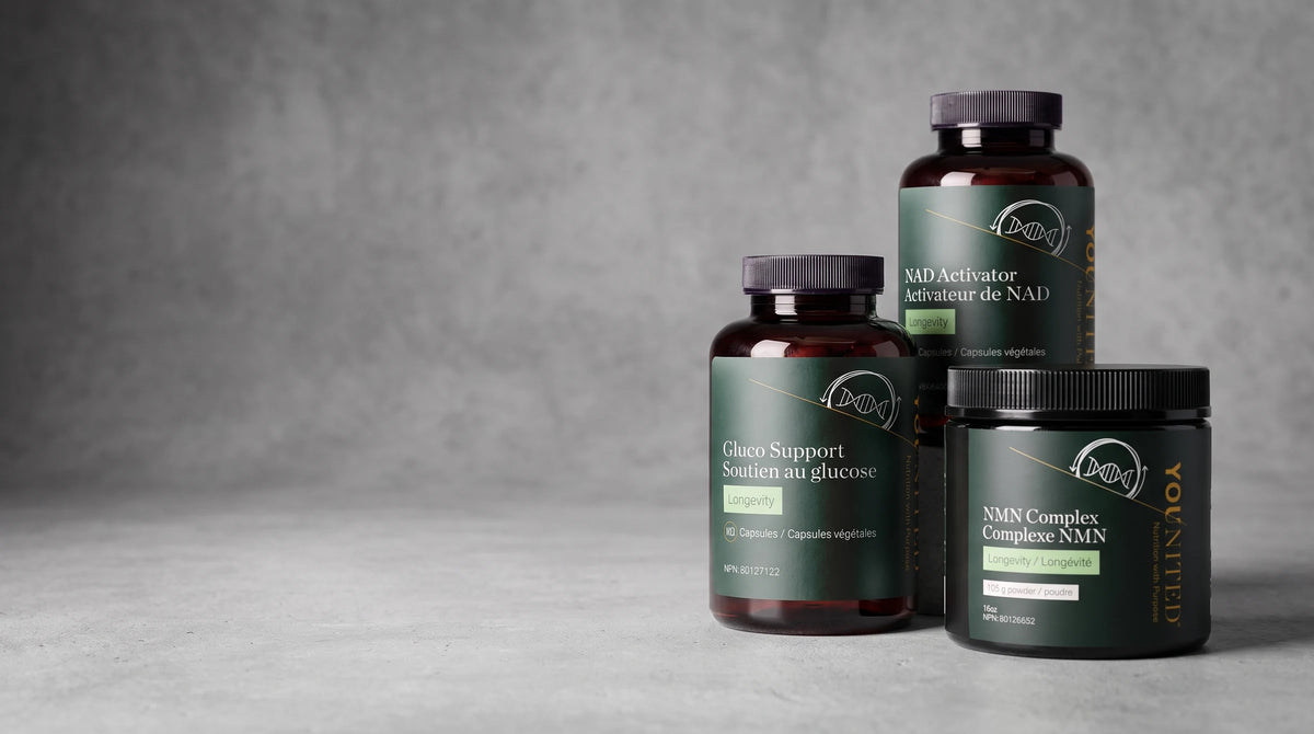 Longevity & Better-Aging — Younited Wellness